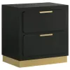 Coaster Fine Furniture 224782 Caraway - 2-Drawer Nightstand - Black