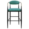 Coaster Fine Furniture 121188 Tina - Fabric Upholstered Bar Chair (Set of 2) - Green