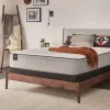 Tempur Sealy 52639061 Tempur Sealy 52639061 Essentials - Winter Green Medium Faux Euro Top Mattress - King