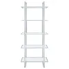 CoasterEssence 805538 Hartford - 5-Shelf Glass Bookshelf - Chrome