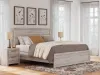 Ashley Furniture PCB1120B6 Ashley Furniture PCB1120B6 Broachmyn - King Panel Bed - Gray