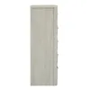 Liberty Furniture 522-BR41 Modern Play - 5 Drawer Chest - Natural White