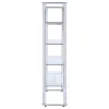 CoasterEssence 910050 Larson - 4-Shelf Glass Bookshelf - Chrome