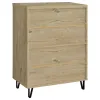 Coaster Fine Furniture 950424 Brixton - 2-Door Entryway Shoe Storage Cabinets White Oak