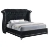 CoasterElevations 300643Q Barzini - Upholstered Queen Wingback Bed - Black