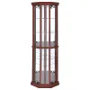 CoasterEssence 3393 Appledale - 6-Shelf Corner Curio Display Cabinet - Medium Brown