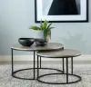 CoasterEveryday 736028 Lainey - 2 Piece Round Faux Marble Nesting Coffee Table - Gray