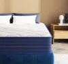 Tempur Sealy Shilpi-Testing Shilpi Testing Product