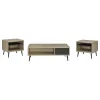 Coaster Fine Furniture 701038-S3 Welsh - 3 Piece Coffee And End Table Set - Distressed Pine