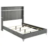 Coaster Fine Furniture 224991Q Lucia - Upholstered Queen Panel Bed - Gray