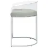 CoasterElevations 183405 Thermosolis - Clear Acrylic Counter Chair (Set of 2) - Chrome