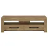 Coaster Fine Furniture 701980 Elkton - 2-Drawer Engineered Wood TV Stand - Mango