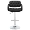 CoasterEssence 102555 Brandi - Adjustable Bar Stool - Black And Chrome