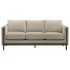 Coaster Fine Furniture 511101 Islington - Fabric Upholstered Panel Arm Sofa - Taupe