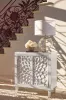 CoasterElevations 953347 Clarkia - Accent Cabinet With Floral Carved Door - White