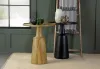 CoasterEssence 915109 Ixia - Round Solid Mango Wood Accent Side Table - Black Stain