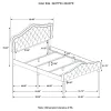 CoasterEssence 315871Q Bella - Upholstered Queen Panel Bed - Gray