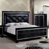 Furniture of America CM7979BK-Q-BED Bellanova - Queen Bed - Black