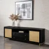 Coaster Fine Furniture 720263 Arini - Rattan Cane 2-Door TV Stand Media Console - Black