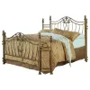 CoasterEssence 300171Q-SET Sydney - Metal Queen Open Frame Bed - Brushed Gold
