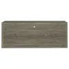 CoasterEssence 701024 Burke - 2-Drawer Engineered Wood TV Stand - Gray Driftwood