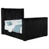 Coaster Fine Furniture 315945Q Centergrove - Upholstered Queen Wingback TV Bed - Black