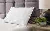 Ashley Sleep® M52110 Zephyr 2.0 - Cotton Pillow (Set of 2)(9/CS) - White