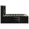 CoasterEssence 202701Q Briana - Wood Queen Storage Bookcase Bed - Black