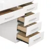 CoasterElevations 203507 Felicity - 9-Drawer Vanity Table With Lighted Mirror - Glossy White