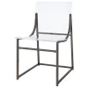 Coaster Fine Furniture 121142 Adino - Acrylic Dining Side Chair (Set of 2) - Black Nickel