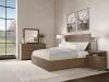 Riverside Furniture 73976-73971-73972 Riverside Furniture 73976-73971-73972 Cascade - Queen Panel Bed With Light - Casual Mink