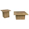 Coaster Fine Furniture 708068-S2 Devar - 2 Piece Square Coffee And End Table Set - Mango
