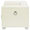 CoasterElevations 505393 Chaviano - Upholstered Track Arm Accent Chair - Pearl White
