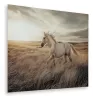 Ashley Furniture A8000489 Errolville - Wall Art - Multi