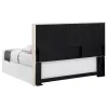 CoasterEveryday 315985K Izzy - Upholstered King Panel Headboard - Sand
