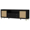 Coaster Fine Furniture 720263 Arini - Rattan Cane 2-Door TV Stand Media Console - Black