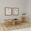 Coaster Fine Furniture 706177 Cortona - Square Engineered Wood End Side Table - Mango