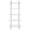 CoasterEssence 805538 Hartford - 5-Shelf Glass Bookshelf - Chrome