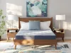 Sierra Sleep® by Ashley M20131 Sierra Sleep® by Ashley M20131 Peak 2.0 Bonnell - Queen Mattress - Light Blue