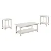 Coaster Fine Furniture 710558-S3A Payne - 3 Piece Coffee And End Table Set - Distressed White