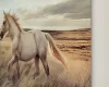Ashley Furniture A8000489 Errolville - Wall Art - Multi