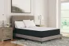 Sierra Sleep® by Ashley M41131 Sierra Sleep® by Ashley M41131 Limited Edition Plush - Queen Mattress - White