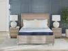 Sierra Sleep® by Ashley M20241 Sierra Sleep® by Ashley M20241 Peak 2.0 10 Hybrid - King Mattress - Light Blue