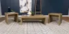 Coaster Fine Furniture 704128-S3 Lynette - 3 Piece Rectangular Coffee And End Table Set - Mango