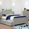 Furniture of America CM7158GY-N-VN Diane - Nightstand - Gray