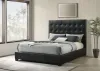 Coaster Fine Furniture 315911BLKKE Medley - Genuine Leather Eastern King Platform Bed - Black