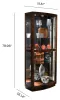 Pulaski Furniture 21221 PFC Curios - Curved Front 5 Shelf Curio Cabinet - Mahogany Brown