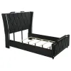 Coaster Fine Furniture 223161Q Lorient - Queen LED Upholstered Wingback Bed - Black