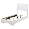 CoasterEssence 203500T Felicity - Wood Twin LED Panel Bed - White High Gloss