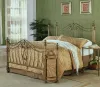 CoasterEssence 300171KE Sydney - Metal Eastern King Open Frame Bed - Brushed Gold